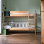 Downtown Forest Hostel & Camping